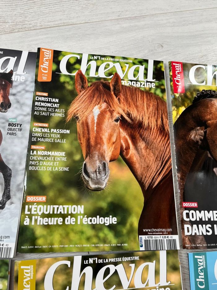 Cheval magazine collection 2024 - photo numéro 3