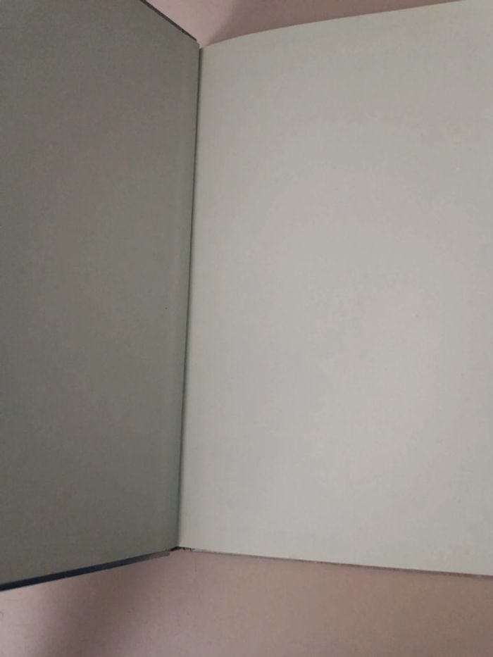 Livre enfant les secrets de l'hiver Évelyne hasler et Michèle lemieux - photo numéro 10