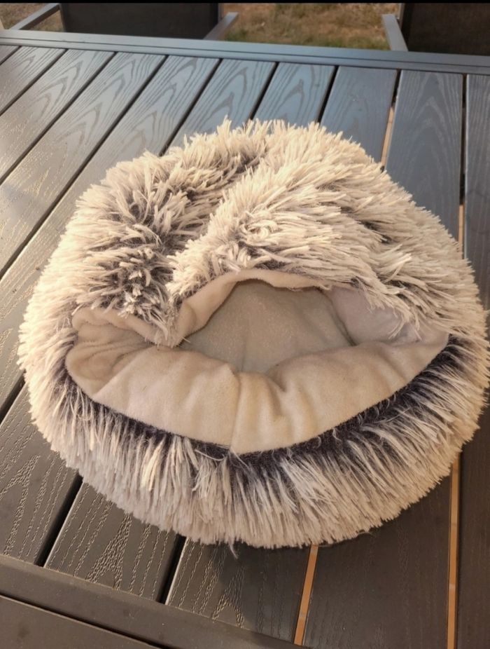 Coussin chat