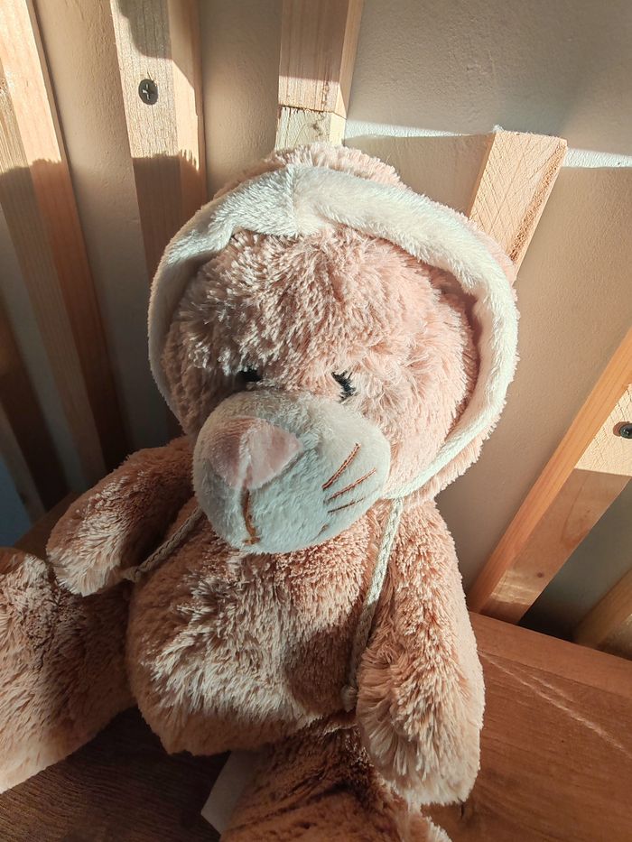 Chat beige la galleria - photo numéro 3