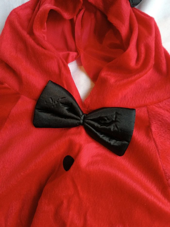 Déguisement costume bébé baby babies enfant diablo diablotin diable devil diablillo fiesta 6 12 9 - photo numéro 8