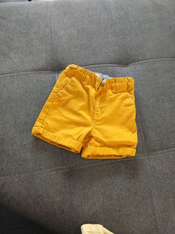 short moutarde
