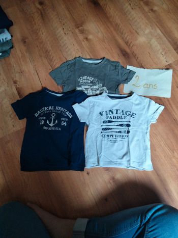Lot tee-shirts Vertbaudet