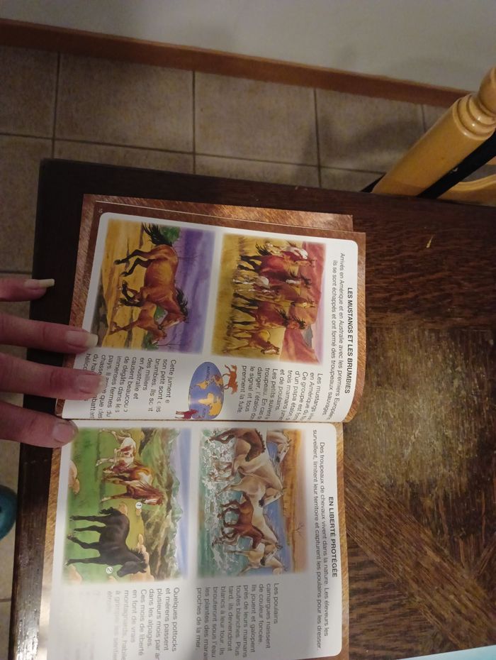 L'imagerie du poney et du cheval. - photo numéro 3