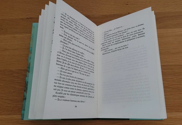 "Mademoiselle Liberté" d'Alexandre Jardin - photo numéro 6