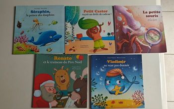 Livres collection Mes petits albums
