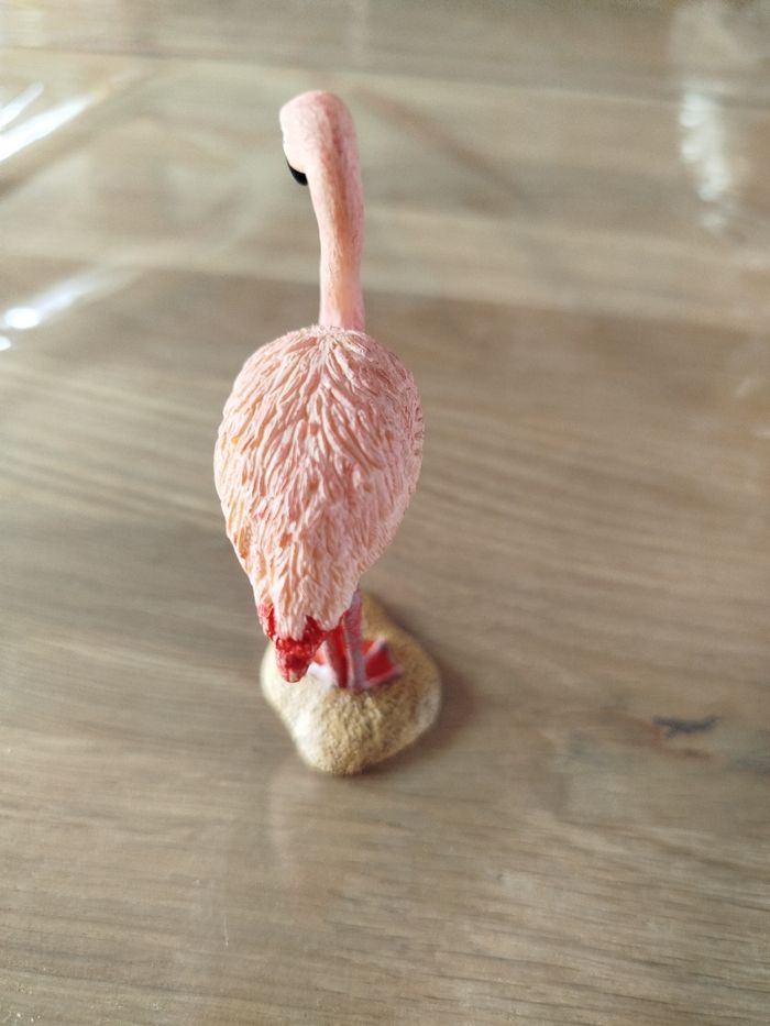 Flamant rose - photo numéro 2