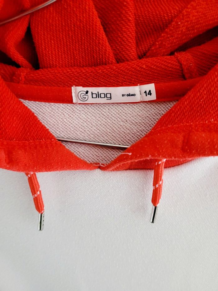 Pull à capuche 14 ans - photo numéro 2