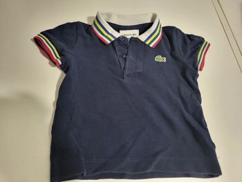 Polo lacoste