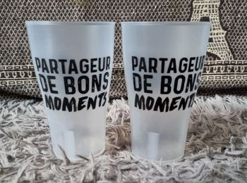 Lot 2 Verres en plastique 30cl  V&B (partageur de bon moments)