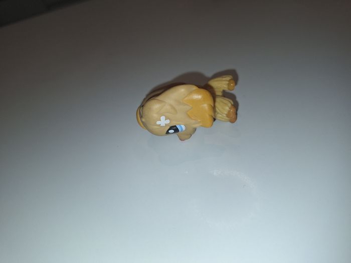 Petshop rare chien - photo numéro 2
