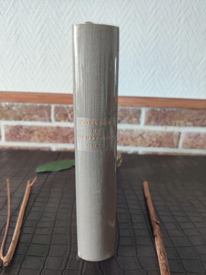 Noblesse de Vauvenargues - photo numéro 3