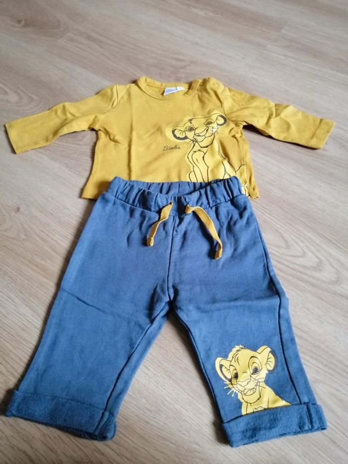 Ensemble simba 1 mois