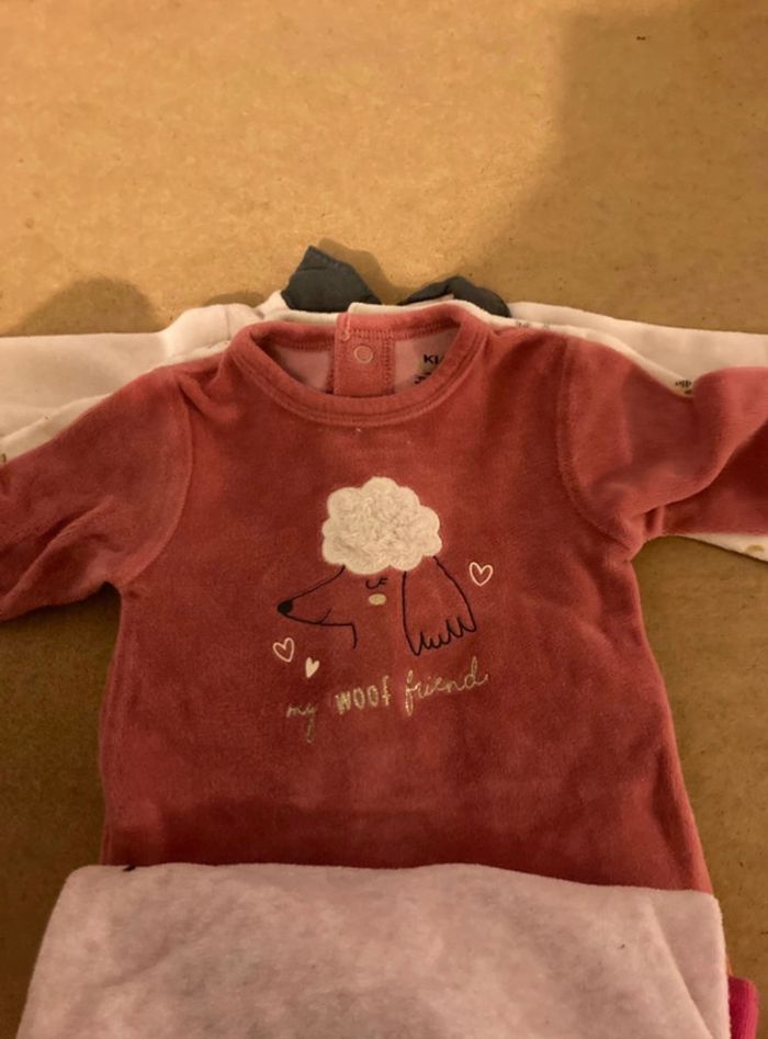 Grenouillère - photo numéro 7