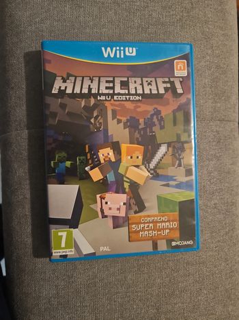 minecraft Nintendo wii u