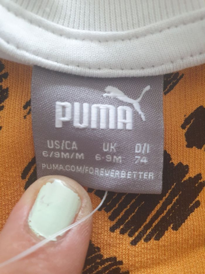 Ensemble puma - photo numéro 2