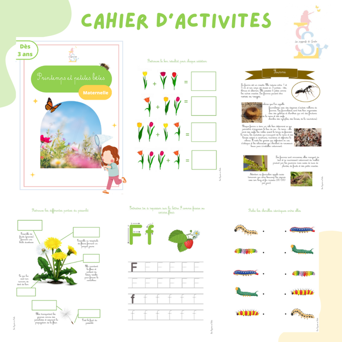 🌸 Cahier d’Activités – Le Printemps (Maternelle) 🌿 - photo numéro 2