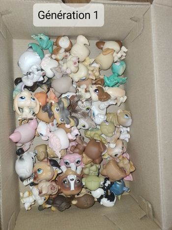 Petshop