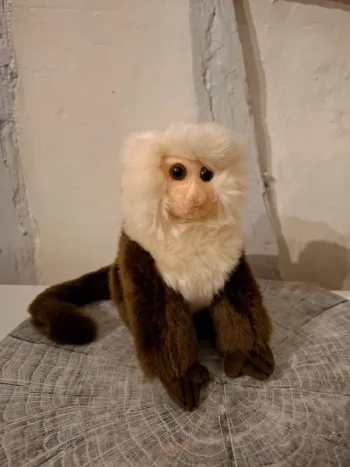 Peluche Singe Capucin - 20 cm