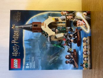 Lego Harry Potter Le hangar à bateaux de Poudlard (76426)