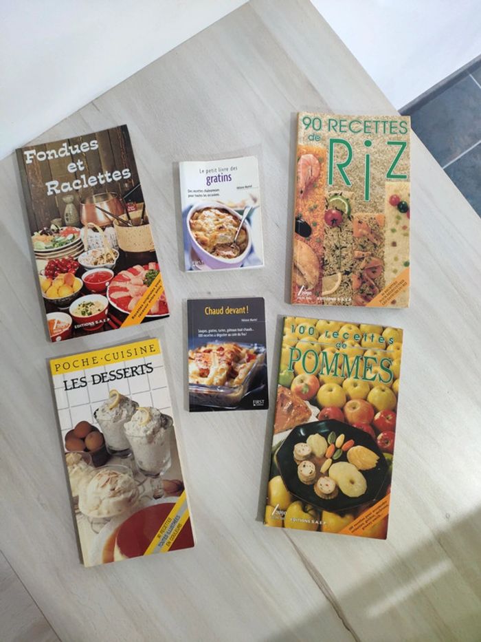 Lot 6 livres cuisine recettes pommes riz desserts fondues raclettes gratins