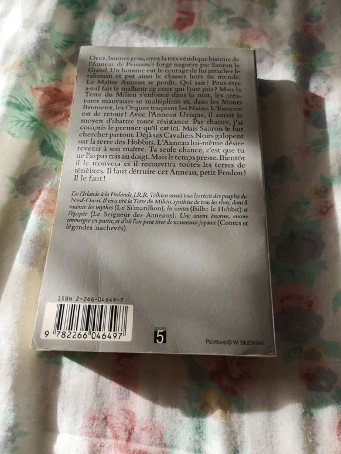 Le seigneur des anneaux 1 - photo numéro 2