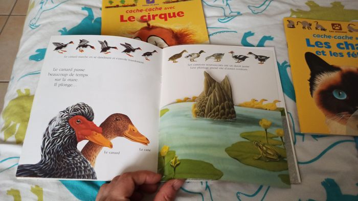 Lot 6 livres magiques - photo numéro 7