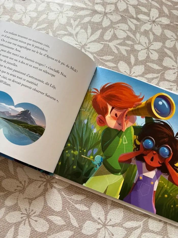 Le pic du midi d’Ossau 📚 - photo numéro 2