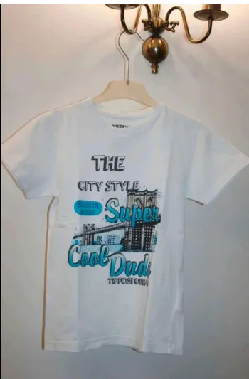 tee  shirt