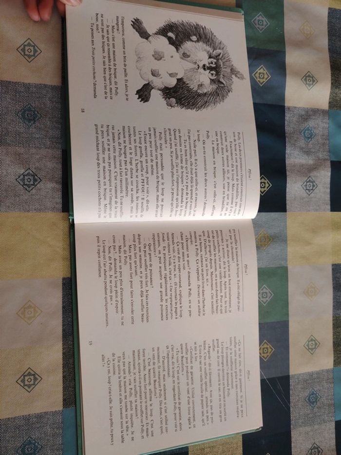 Livre sur le loup - photo numéro 9