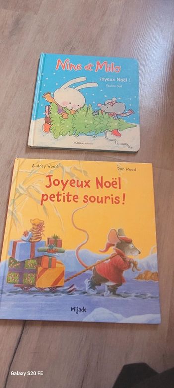 Lot de 2 albums jeunesse sur le thème de Noël parfait état