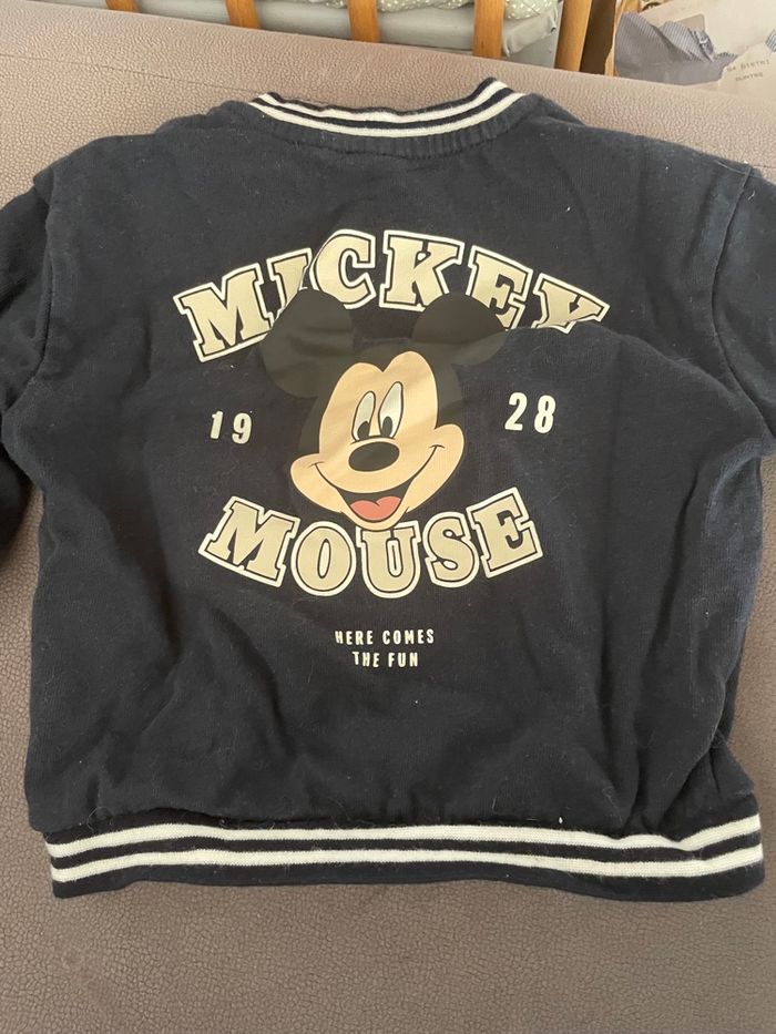 Veste - photo numéro 3