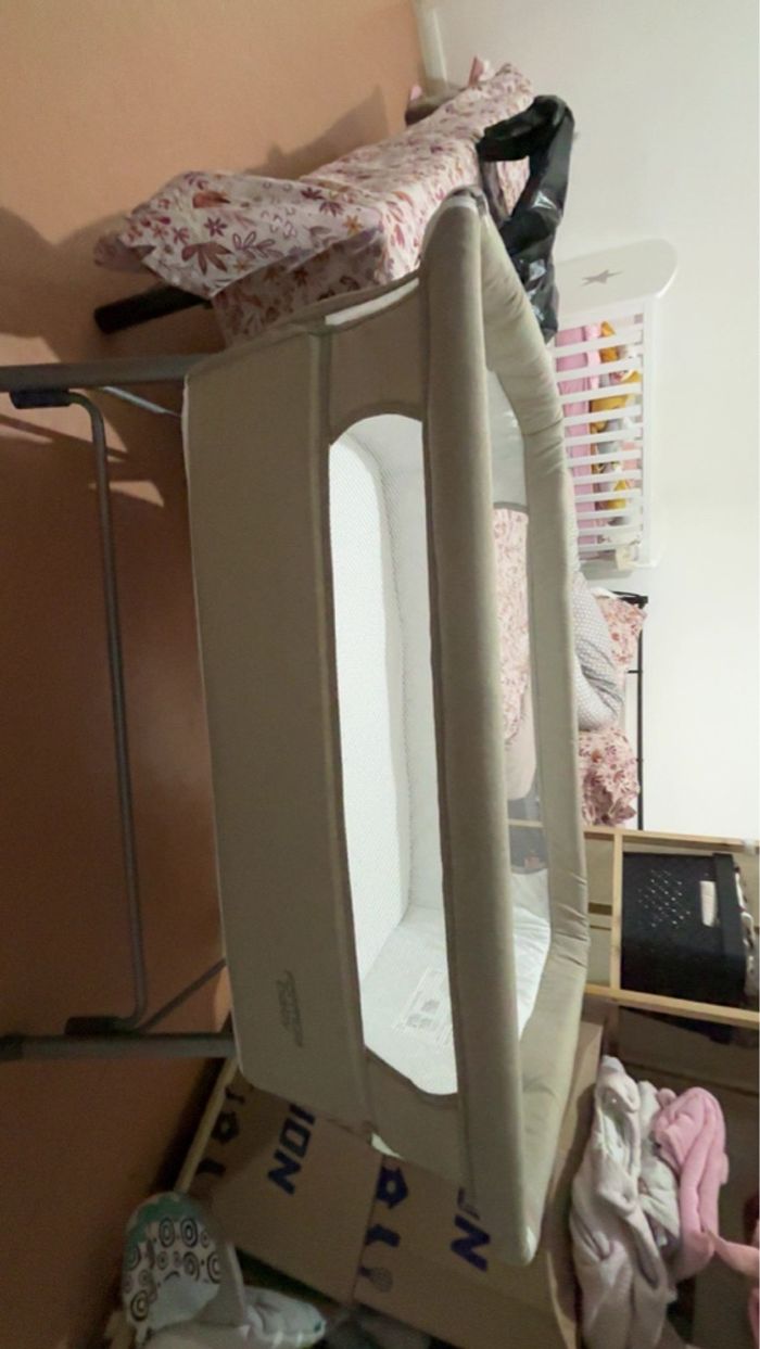 Cododo - photo numéro 3