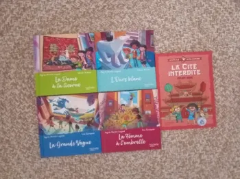 5 livres Collection Le Musée Magique