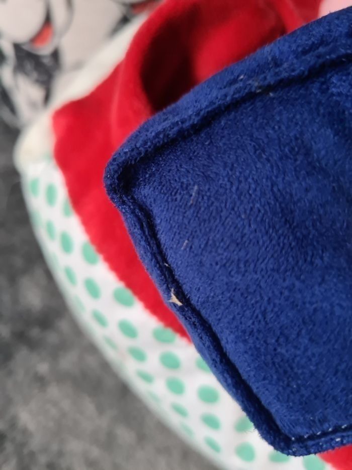 Chien activité - photo numéro 9