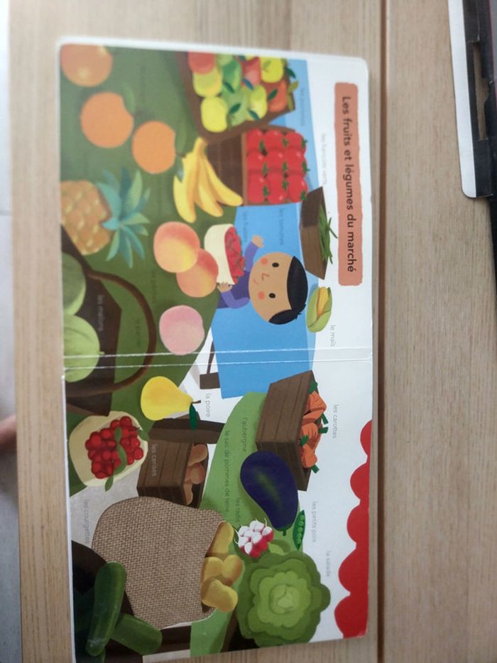 Grand imagier à toucher - photo numéro 13