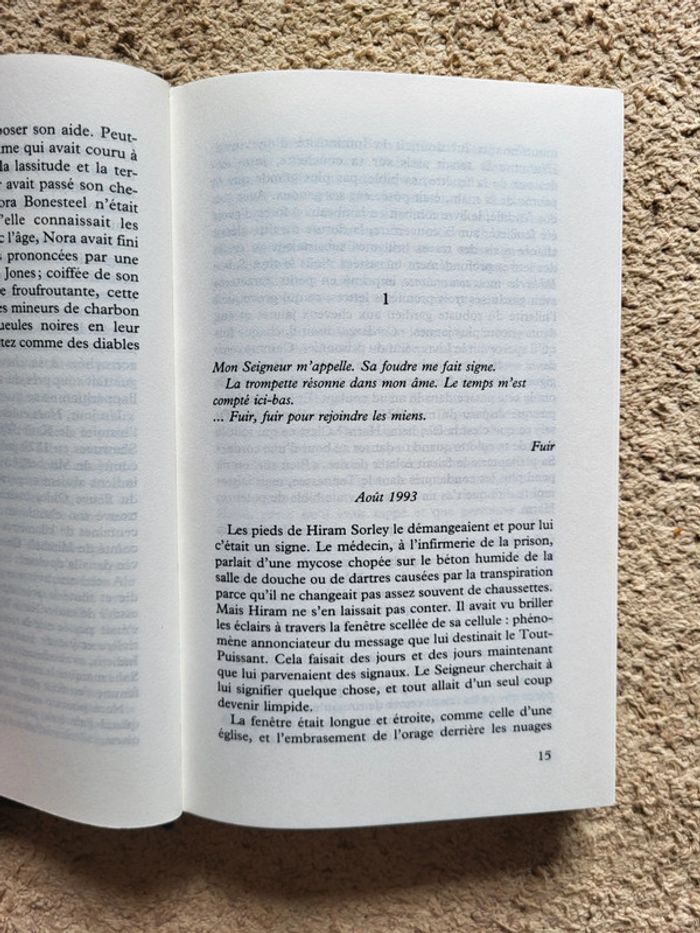 Livre Le Fantôme des collines de Sharyn McCrumb - Mystère et légendes des Appalaches - photo numéro 6