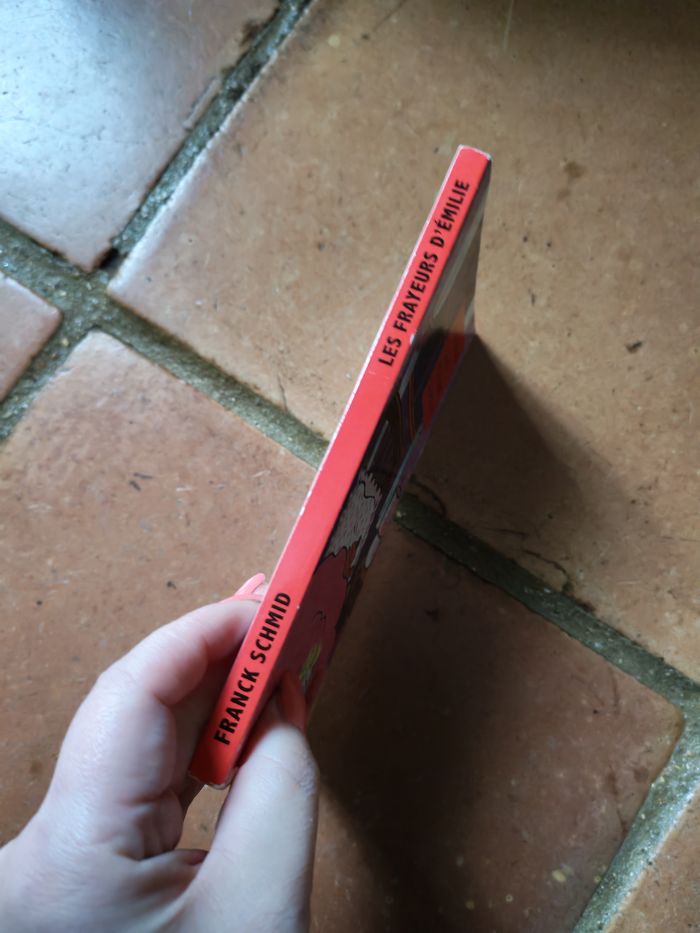 Les Frayeurs d'Emilie, livre de Franck Schmid - photo numéro 7