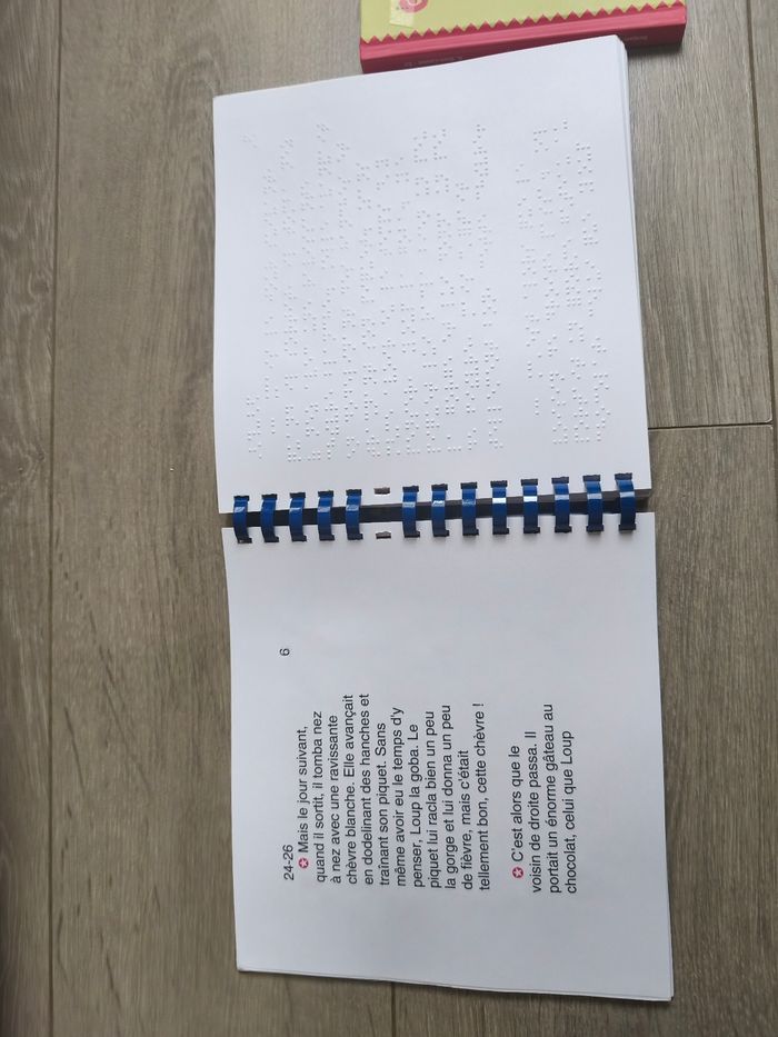Livre / Audio / Braille : Gros ventre du Loup - photo numéro 4