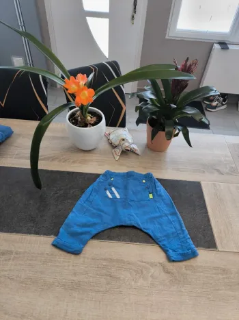 Pantalon doublé coupe sarouel garçon 6 mois Dpam