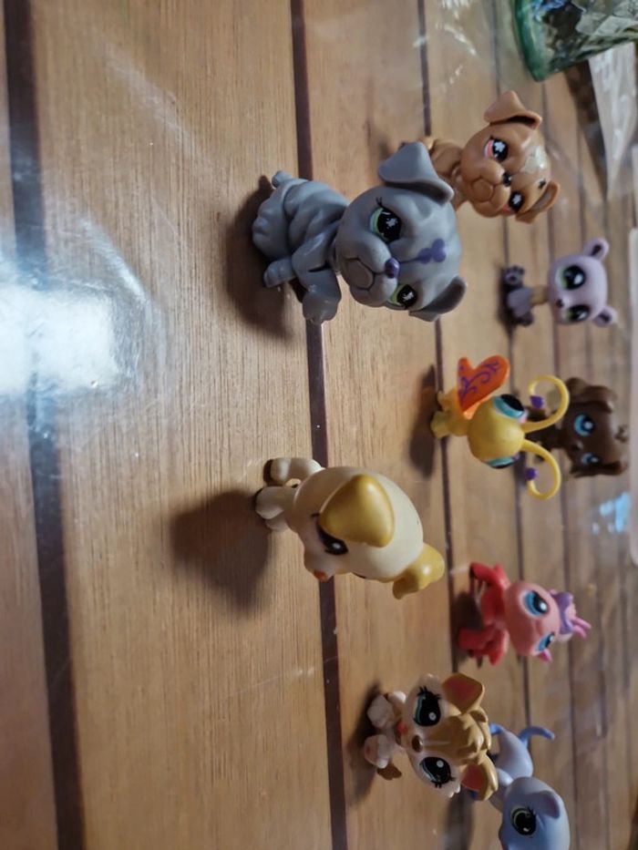 Lot petshop (7) - photo numéro 8