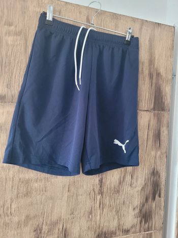 Short puma