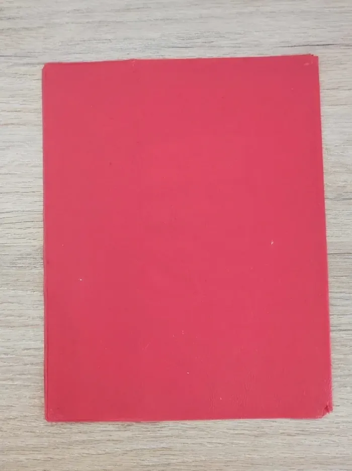 Lot 4 protège-cahier orange rouge bleu vert / Viquel - 17x22cm - photo numéro 6