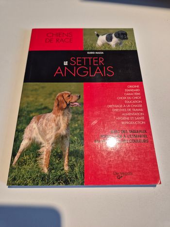 Le setter anglais