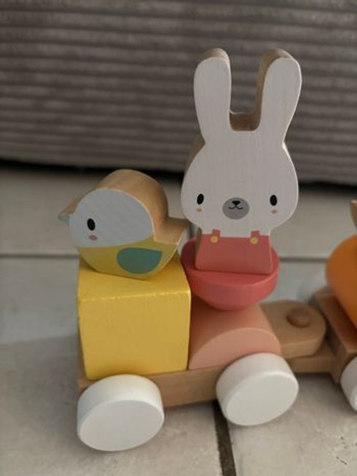 Petit train Janod - photo numéro 4