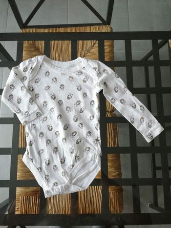 Body têtes de Daisy