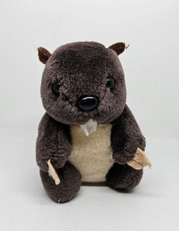 Castor.
Hauteur : 14cm.