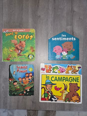 Lit de 4 livres en carton