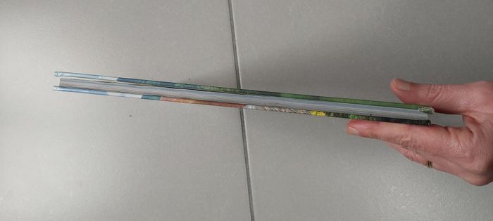 Dinosaure Disney - photo numéro 4