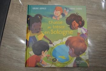 Livre Mac Do Happy Meal Chasse au trésor en sologne Virginie Grimaldi